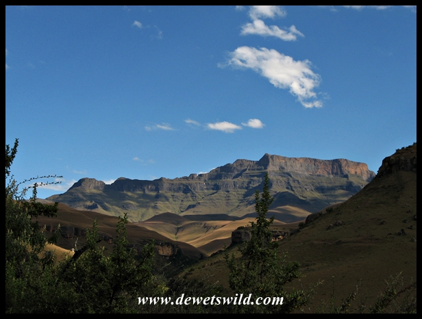 The view from our chalet at Giant's Castle Game Reserve