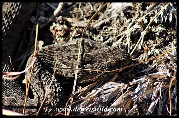 Giants Castle 20140420