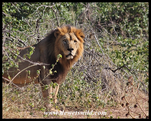 Kanniedood 28 Apr 2014