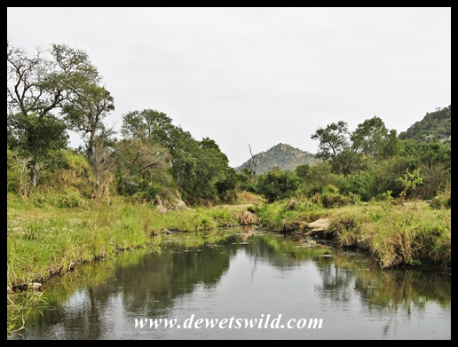 Berg-en-Dal 02052014