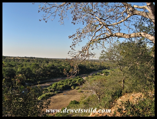 Bobbejaankrans is a viewpoint close to Orpen, overlooking the Timbavati River