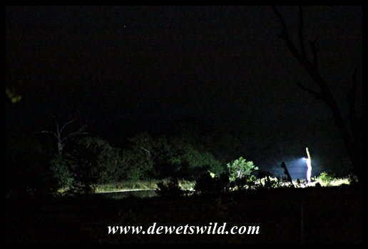 Orpen's waterhole is floodlit at night