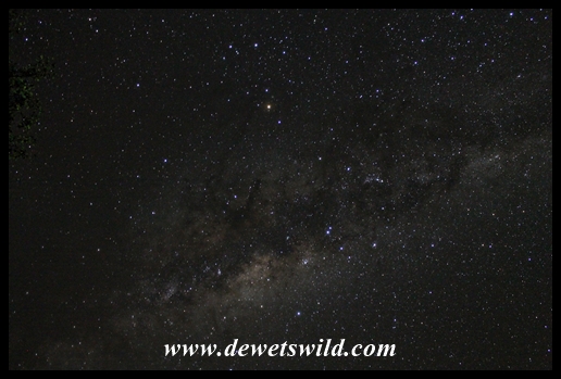 Clear nightskies above Shingwedzi