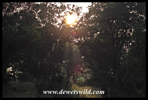 Sunrise on the Mphongolo Loop