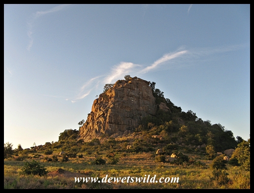 Rocky outcrop near Phalaborwa Gate