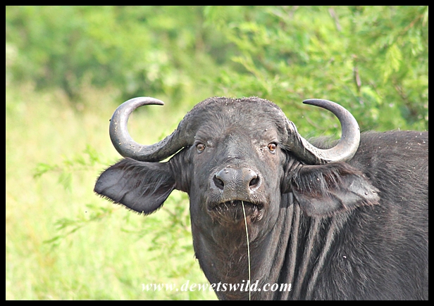 Be afraid, be very afraid...