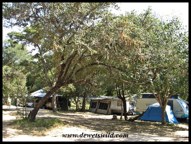 Camping at Maroela