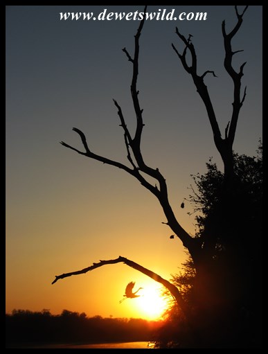 Coming in to land at Lake Panic