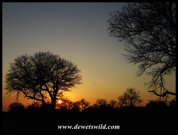 Sunrise near Skukuza