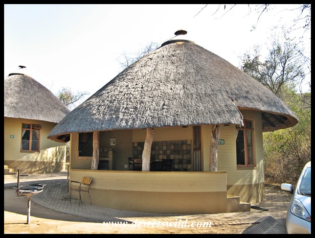 "Home Base": Skukuza's bungalow 210