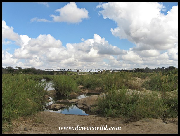 Sabie Bridge seen from the causeway over the river