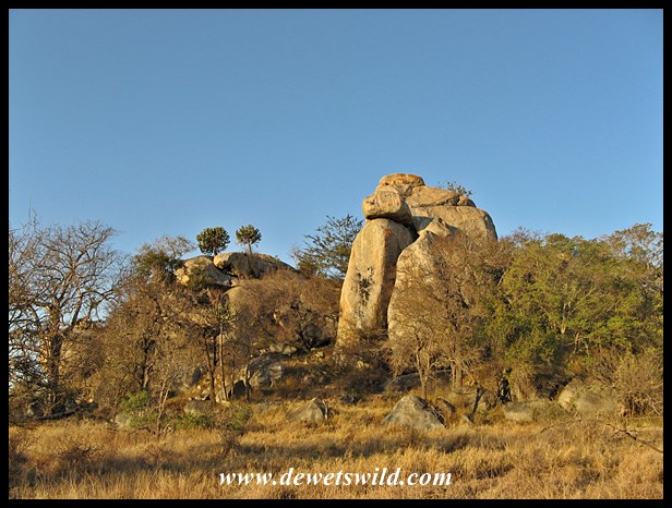 Shirimantanga Hill, final resting place of James and Hilda Stevenson-Hamilton