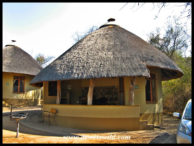 Bungalow 210 - our favourite hut in Skukuza