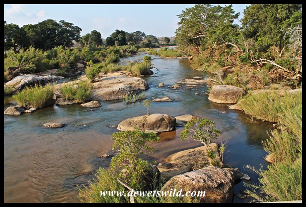 View over the Sabie River