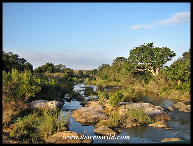 View over the Sabie River
