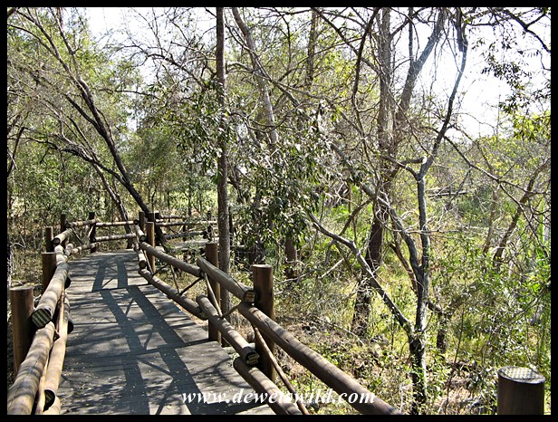 Wetland walkway at Skukuza Nursery