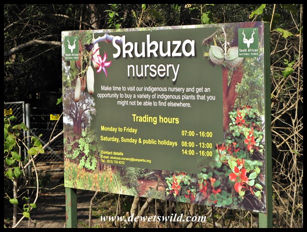 Skukuza Nursery