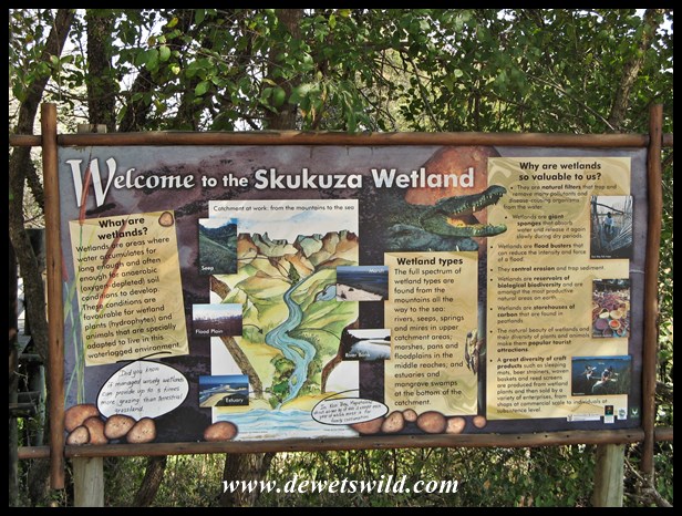Wetland walkway at Skukuza Nursery