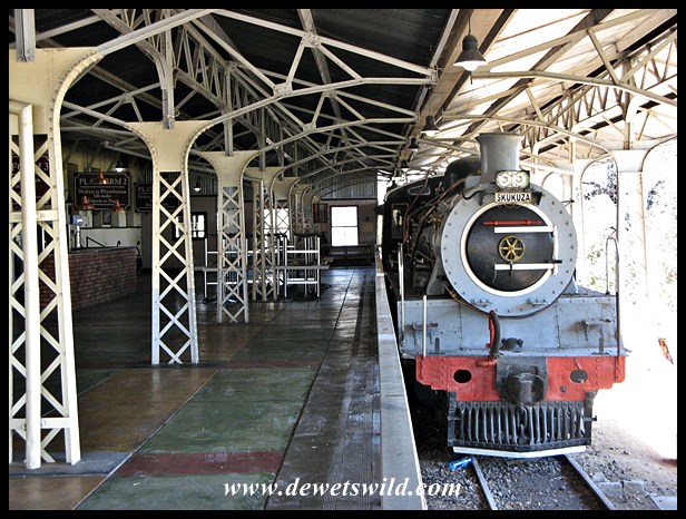 Steam engine at Skukuza "station"