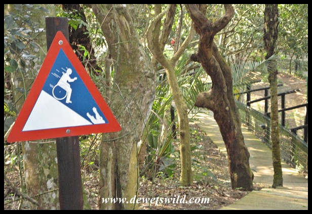 Downhill at the St. Lucia Crocodile Centre