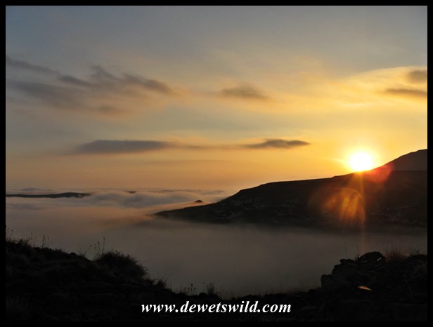 Golden Gate 8 Nov 2014