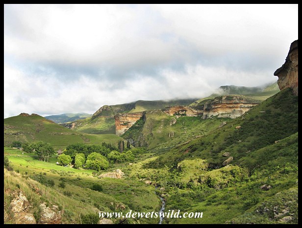 GoldenGate, 01012015