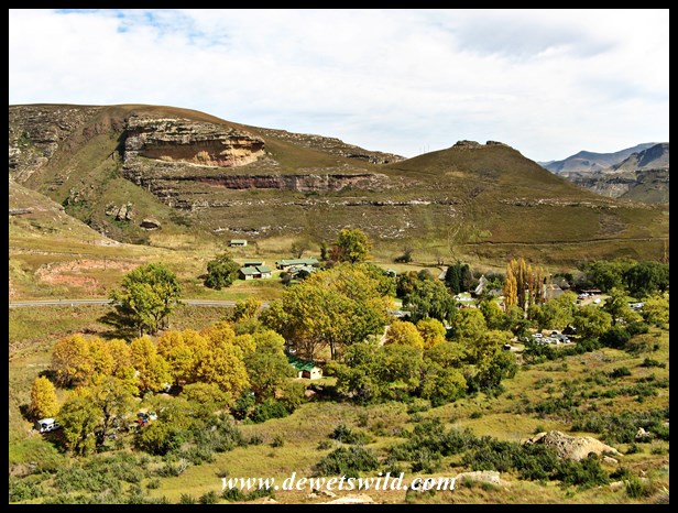 Autumn at Glen Reenen