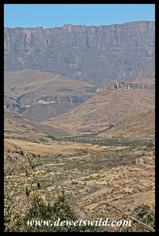 Royal Natal August 2015 (57)