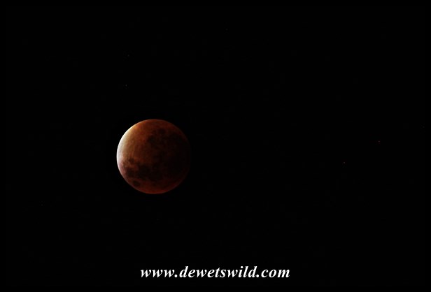 Lunar eclipse 28-09-2015