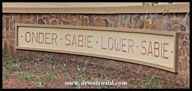 Lower Sabie (22)
