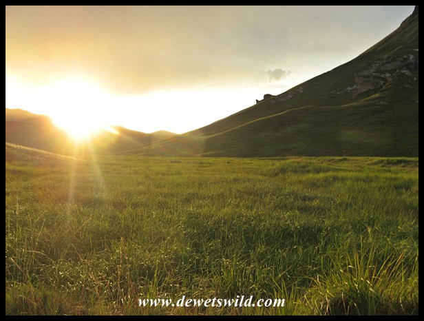 golden-gate-19dec16wp